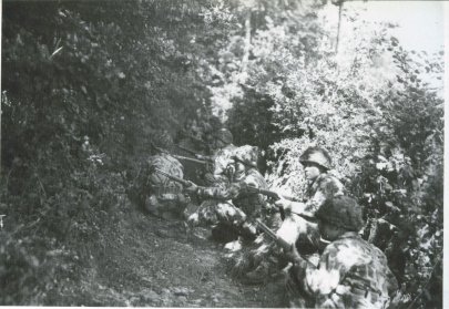 soldats de la 2nd armored division sans une haie Normande en juin 1944